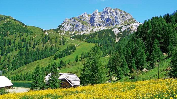 Albergo Spina Pontebba Bagian luar foto